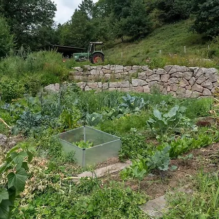 Speicherhaeusle Auf Dem Hasenhof *