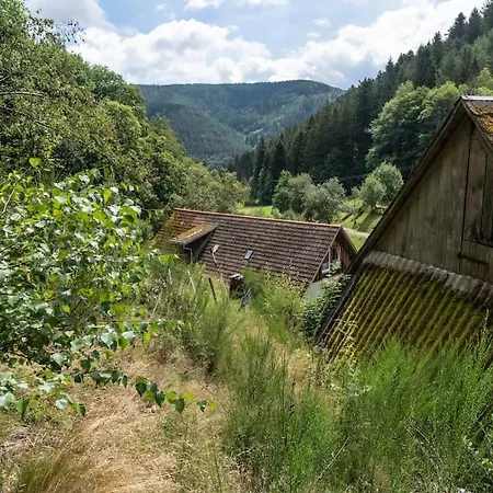Speicherhaeusle Auf Dem Hasenhof Lejlighed Hornberg