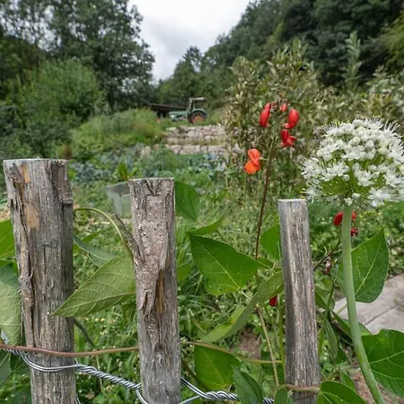 Speicherhaeusle Auf Dem Hasenhof