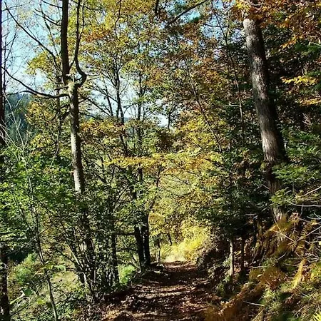 Lejlighed Speicherhaeusle Auf Dem Hasenhof Hornberg